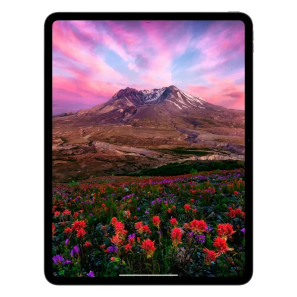 Apple iPad Pro M4, 13” дюймов Wi-Fi 1 ТБ, Серебристый №15